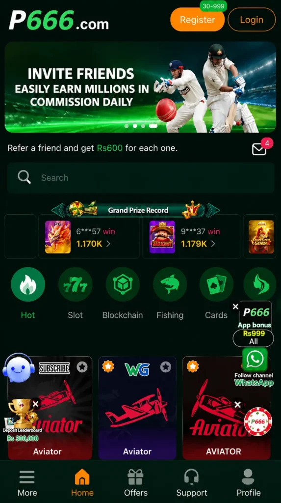 P666 Game
